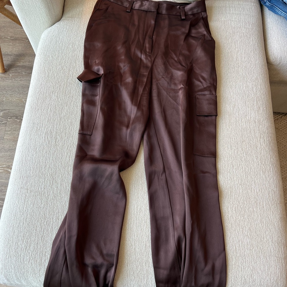 Aritzia Brown Silky Cargo Pants